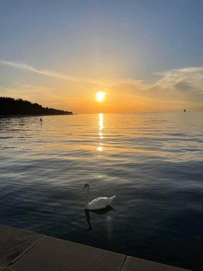 Sun & Love Apartment Koper Buitenkant foto